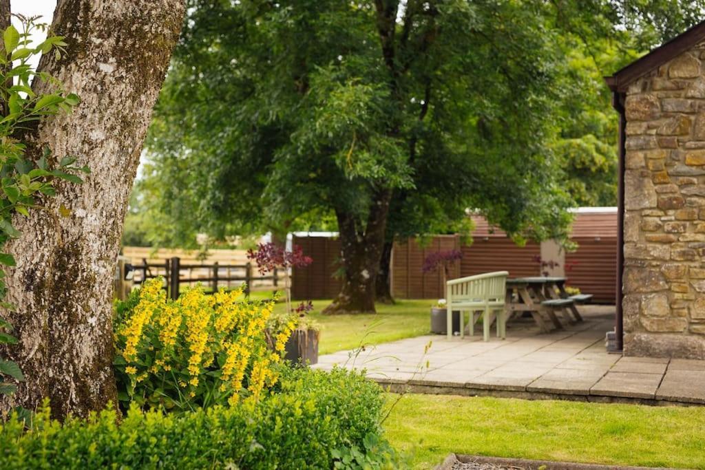 Barn Cottage - Family-Friendly Cottage With Heated Indoor Pool Haverfordwest Εξωτερικό φωτογραφία